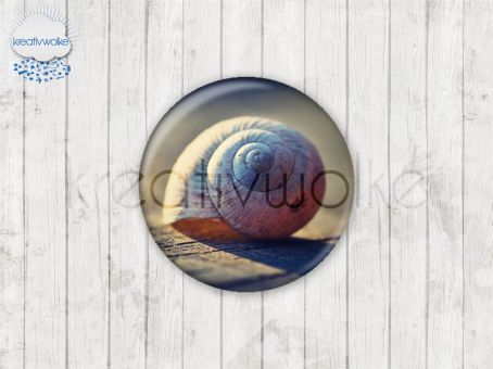 Motiv-Cabochons 49527-1 Einzelset  
